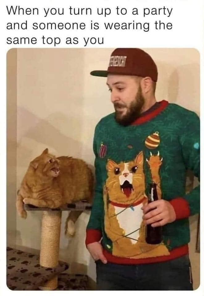 This meme features a photo of a man wearing a sweater with a cartoon cat on it, while a real cat is sitting next to him. The text above the image reads "When you're wearing the same outfit as the cat". The meme is a humorous observation of the man's fashion choice, implying that he's so comfortable in his outfit that even the cat is copying him.